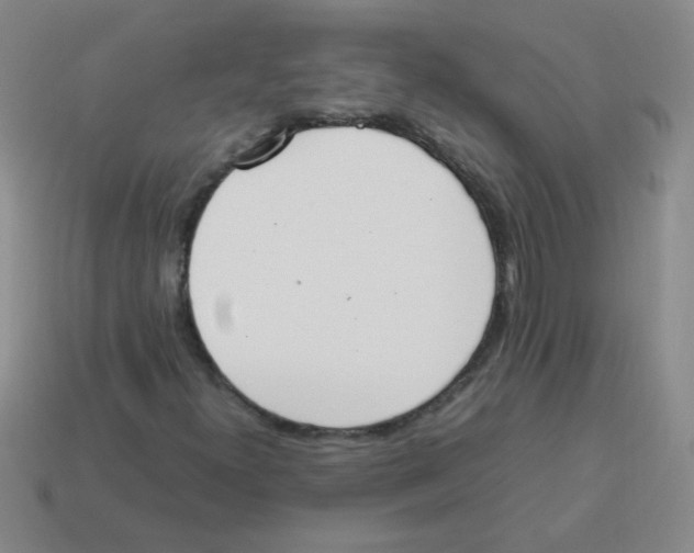 X0000113351300200910131231