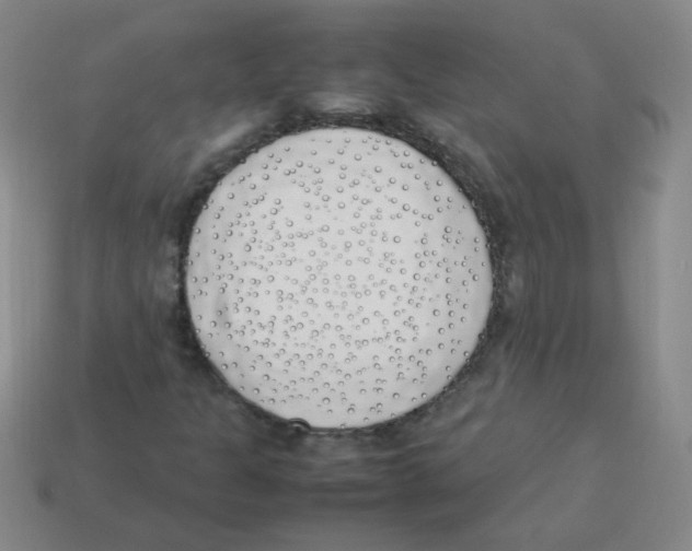 X0000113351301200910131231