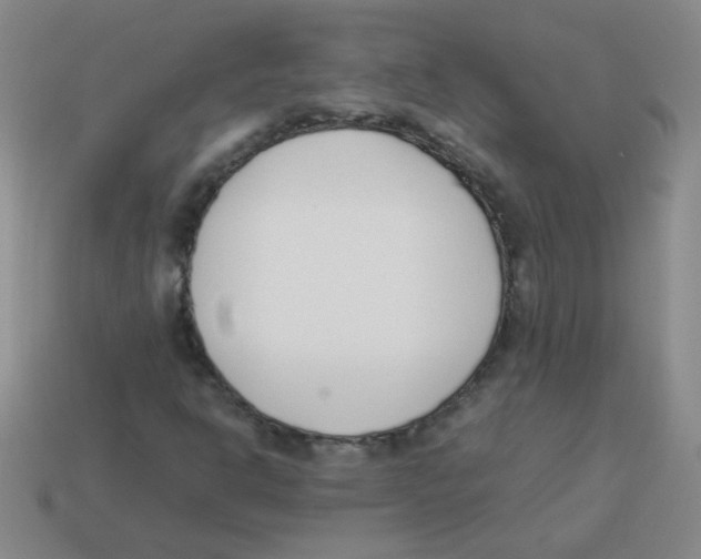 X0000113351302200910131231