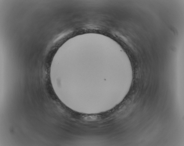 X0000113351303200910131231