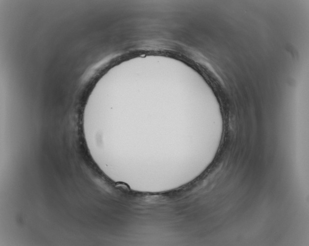 X0000113351304200910131231