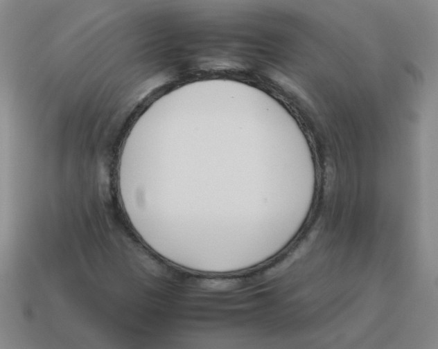 X0000113351305200910131231