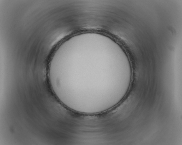 X0000113351306200910131231