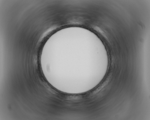 X0000113351307200910131231