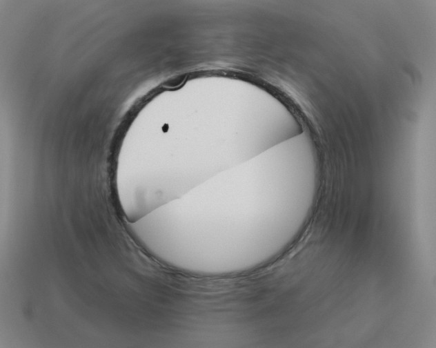 X0000113351308200910131231