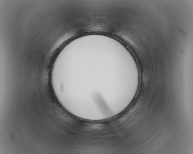 X0000113351309200910131231