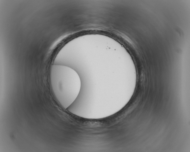 X0000113351310200910131231