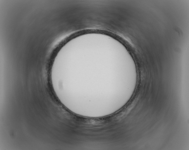 X0000113351311200910131231