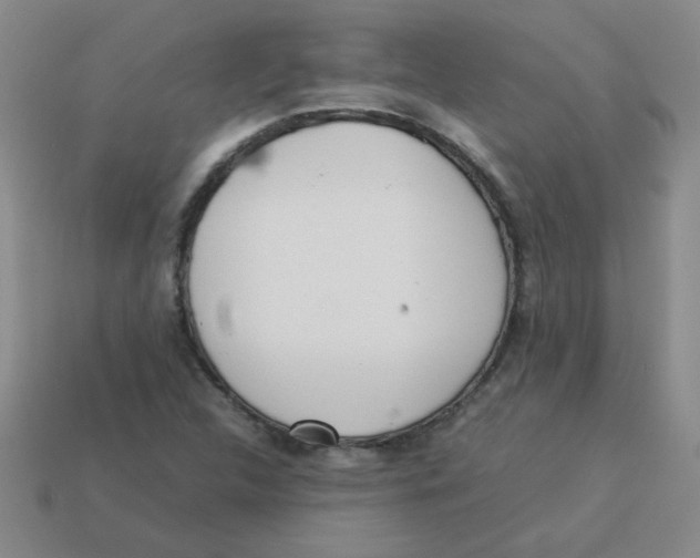 X0000113351312200910131231