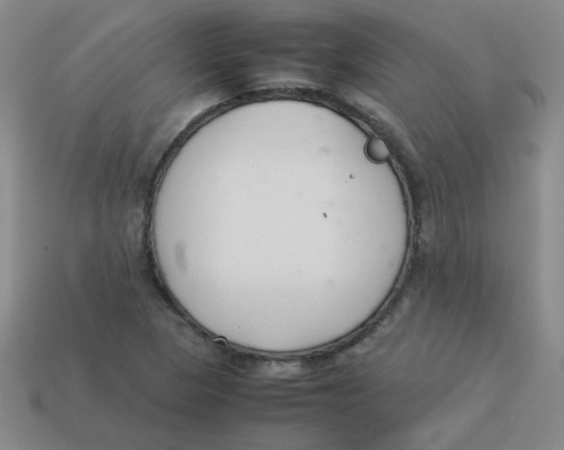 X0000113351313200910131231