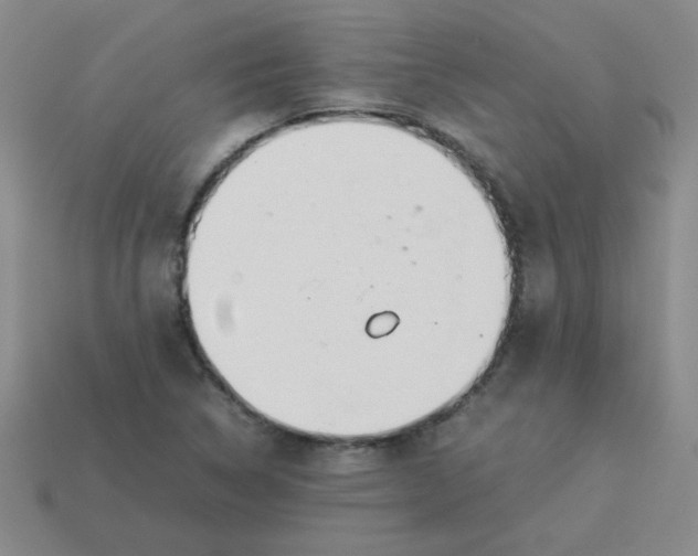 X0000113351314200910131231