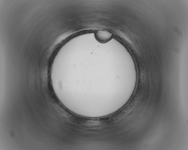 X0000113351315200910131231