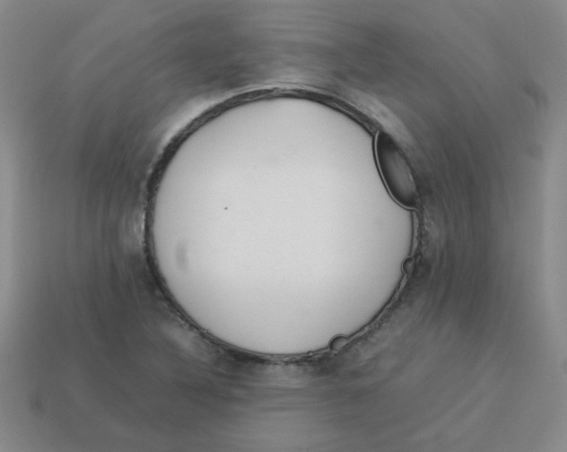 X0000113351316200910131231