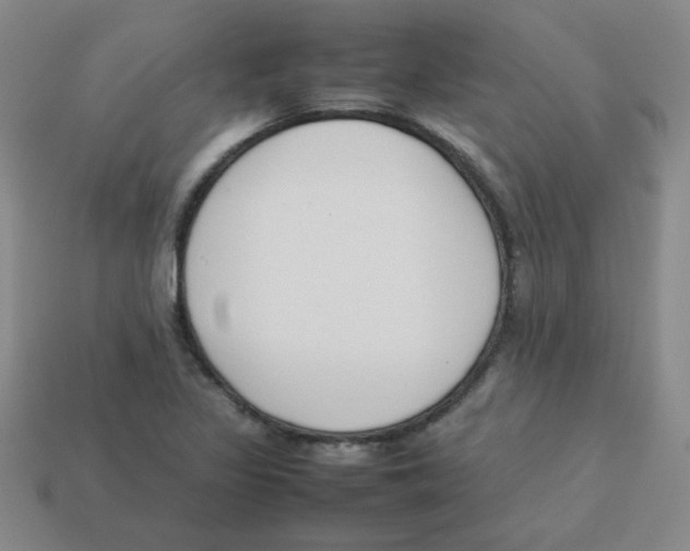 X0000113351317200910131231