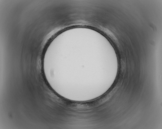 X0000113351318200910131231