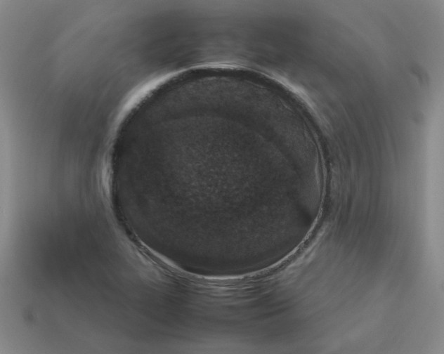 X0000113351319200910131231