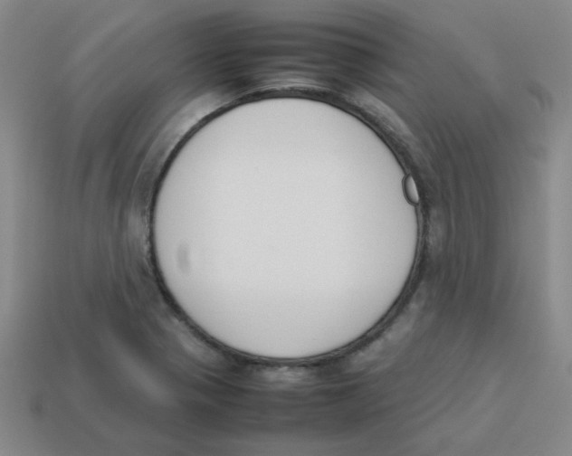 X0000113351321200910131231