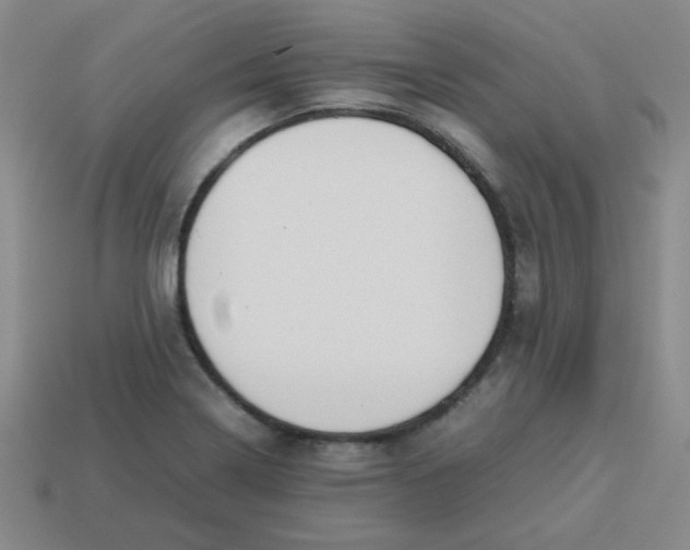 X0000113351322200910131231