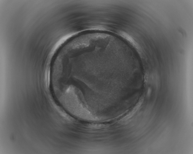 X0000113351323200910131231