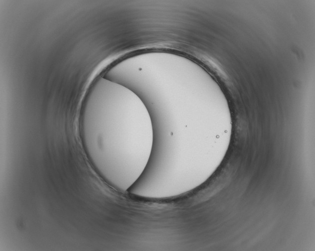 X0000113351324200910131231