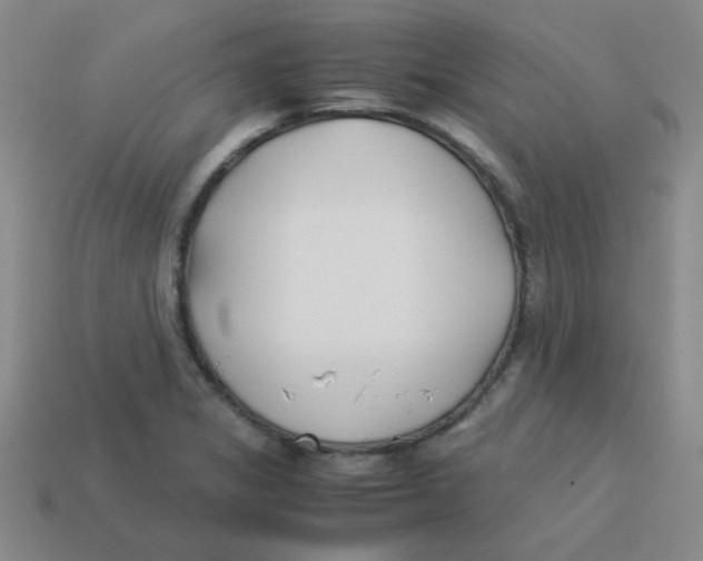 X0000113351325200910131231