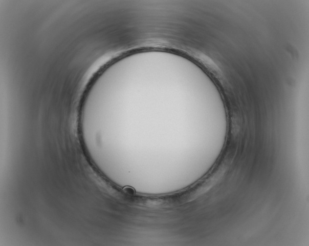 X0000113351326200910131231