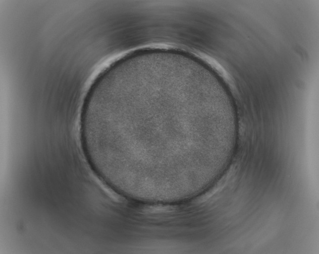 X0000113351327200910131231