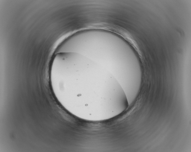 X0000113351328200910131232