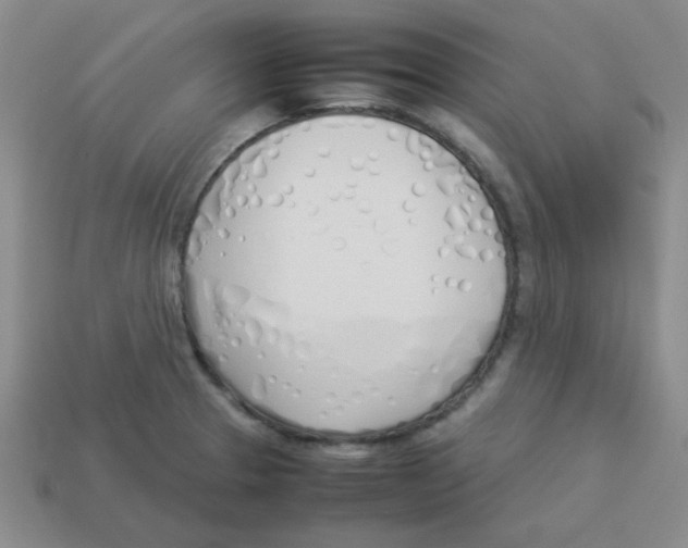 X0000113351329200910131232