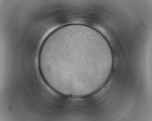 X0000113351331200910131232