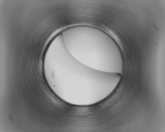 X0000113351332200910131232