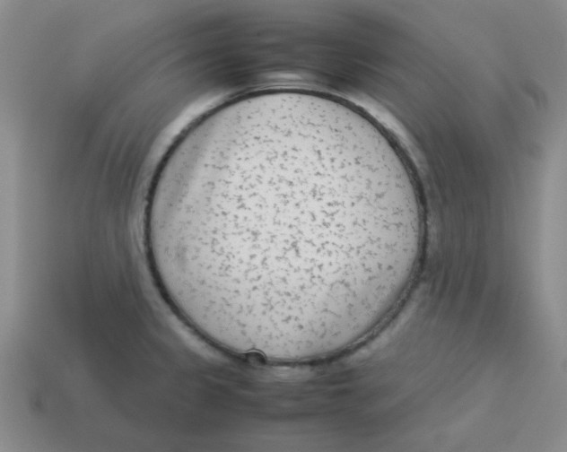 X0000113351333200910131232