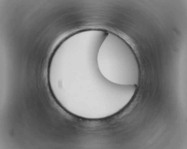 X0000113351334200910131232