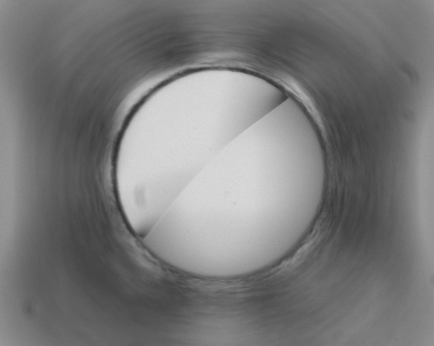 X0000113351336200910131232