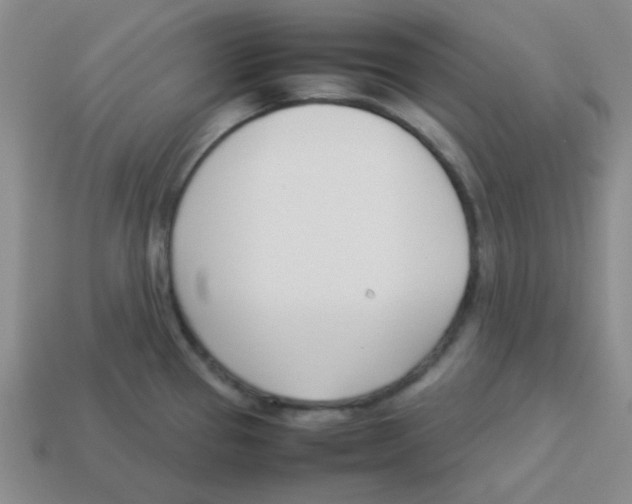 X0000113351337200910131232