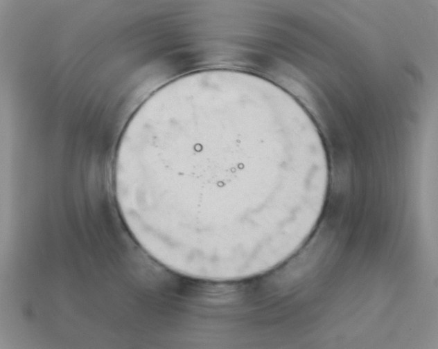 X0000113351338200910131232