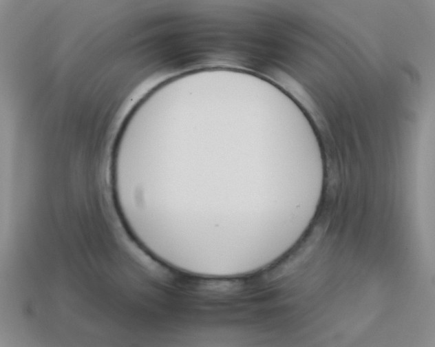 X0000113351339200910131232