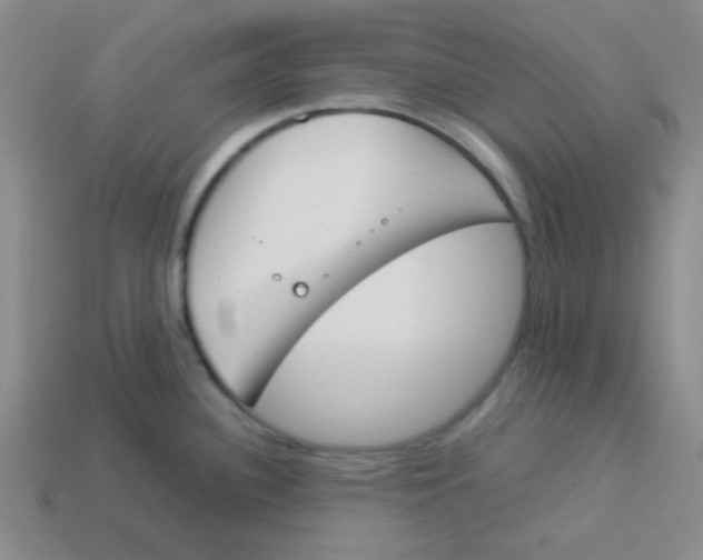 X0000113351340200910131232