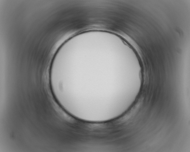 X0000113351341200910131232