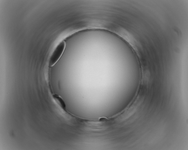 X0000113351342200910131232