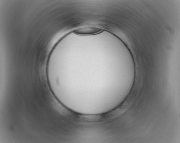 X0000113351344200910131232