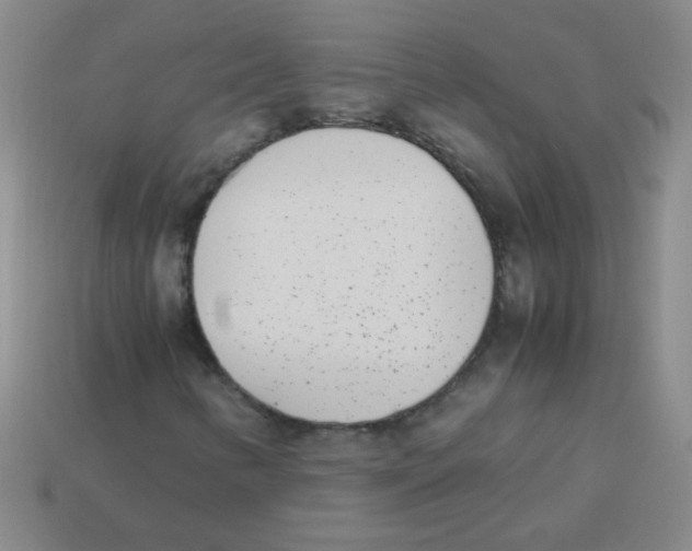 X0000113351346200910131231