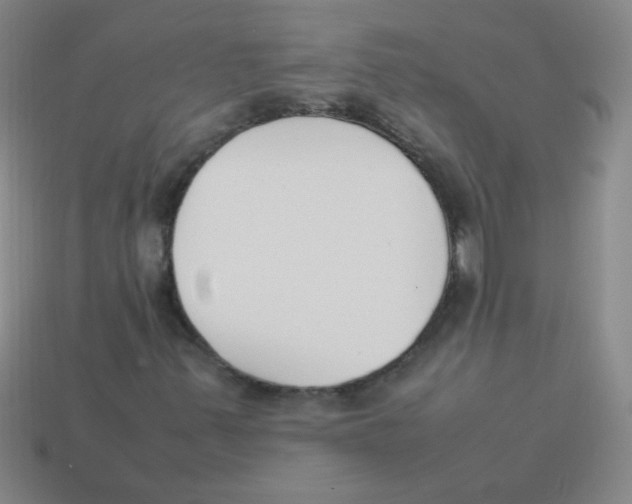 X0000113351347200910131231