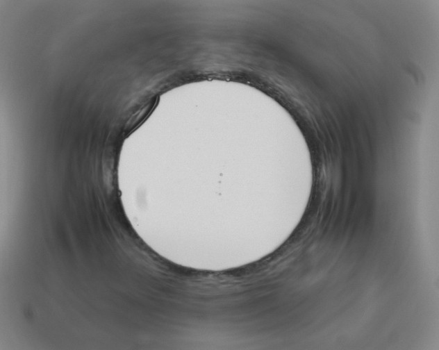 X0000113351348200910131231