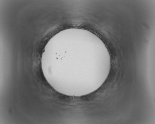 X0000113351349200910131231