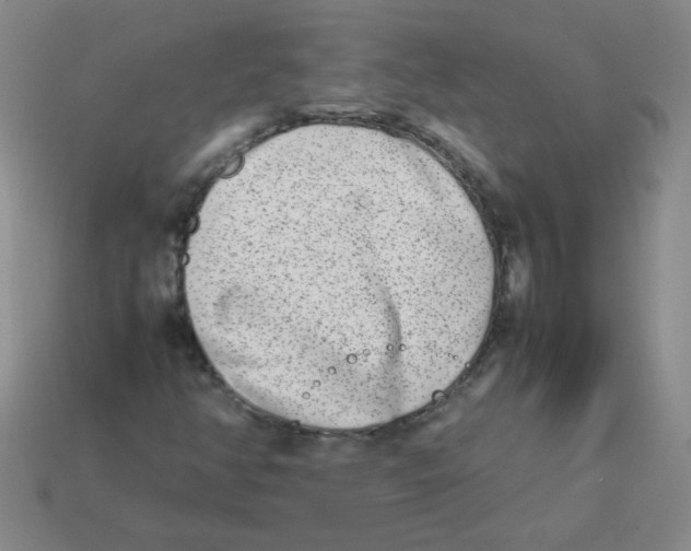 X0000113351350200910131231