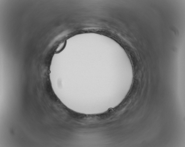 X0000113351351200910131231