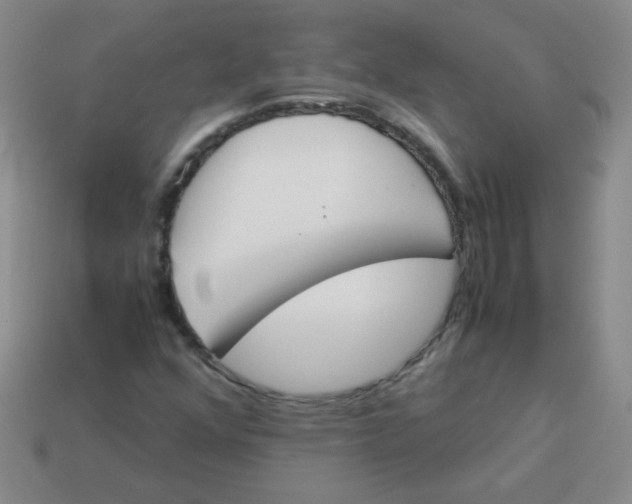 X0000113351352200910131231