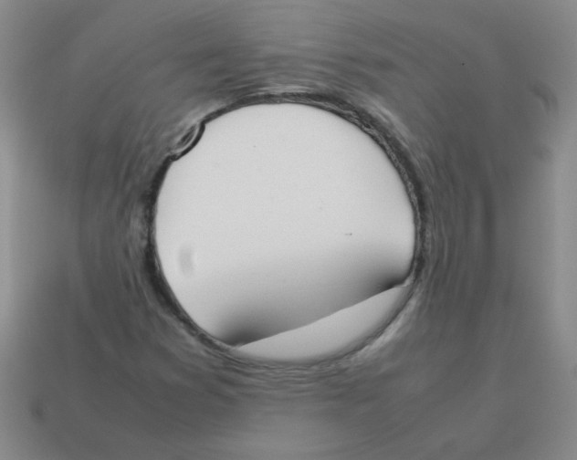 X0000113351353200910131231