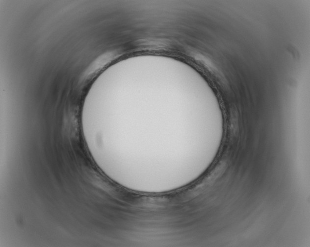 X0000113351354200910131231